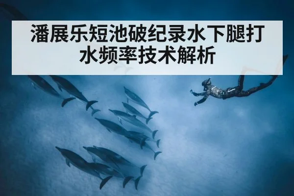 潘展乐短池破纪录水下腿打水频率技术解析（nine game）