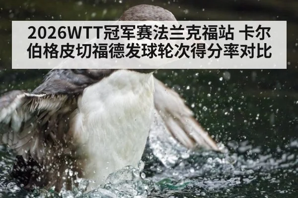 2026WTT冠军赛法兰克福站 卡尔伯格皮切福德发球轮次得分率对比